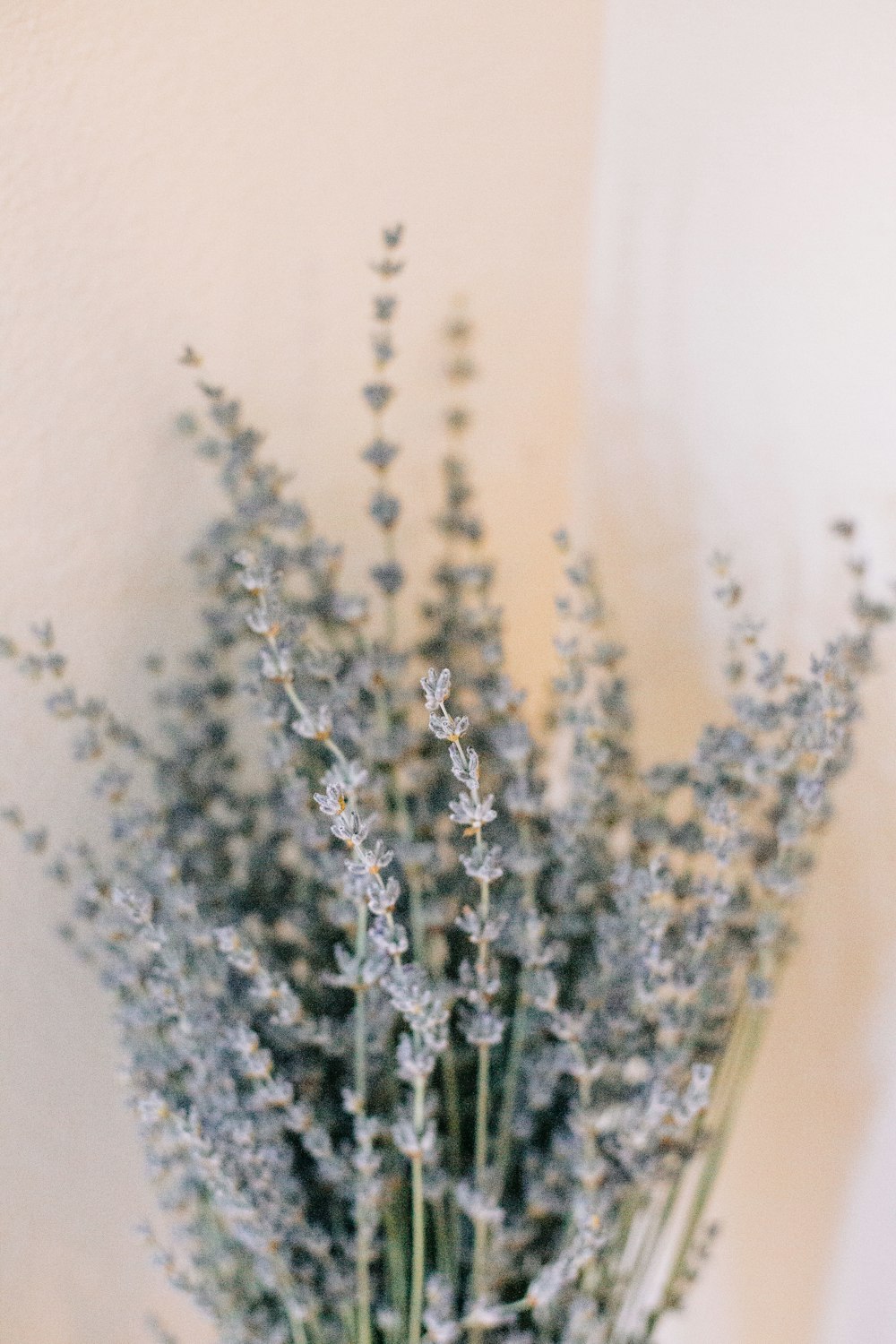 silver and white beaded necklace