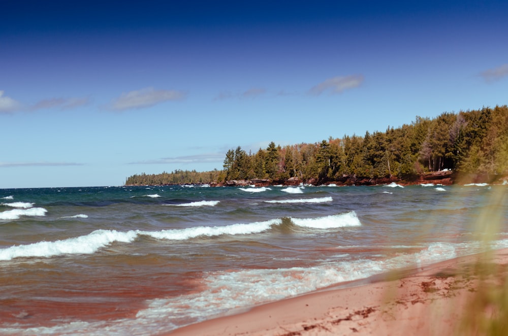 green trees near sea waves under blue sky during daytime