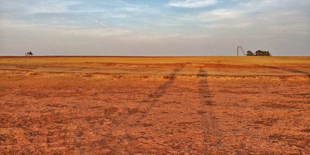 brown field under blue sky during daytime