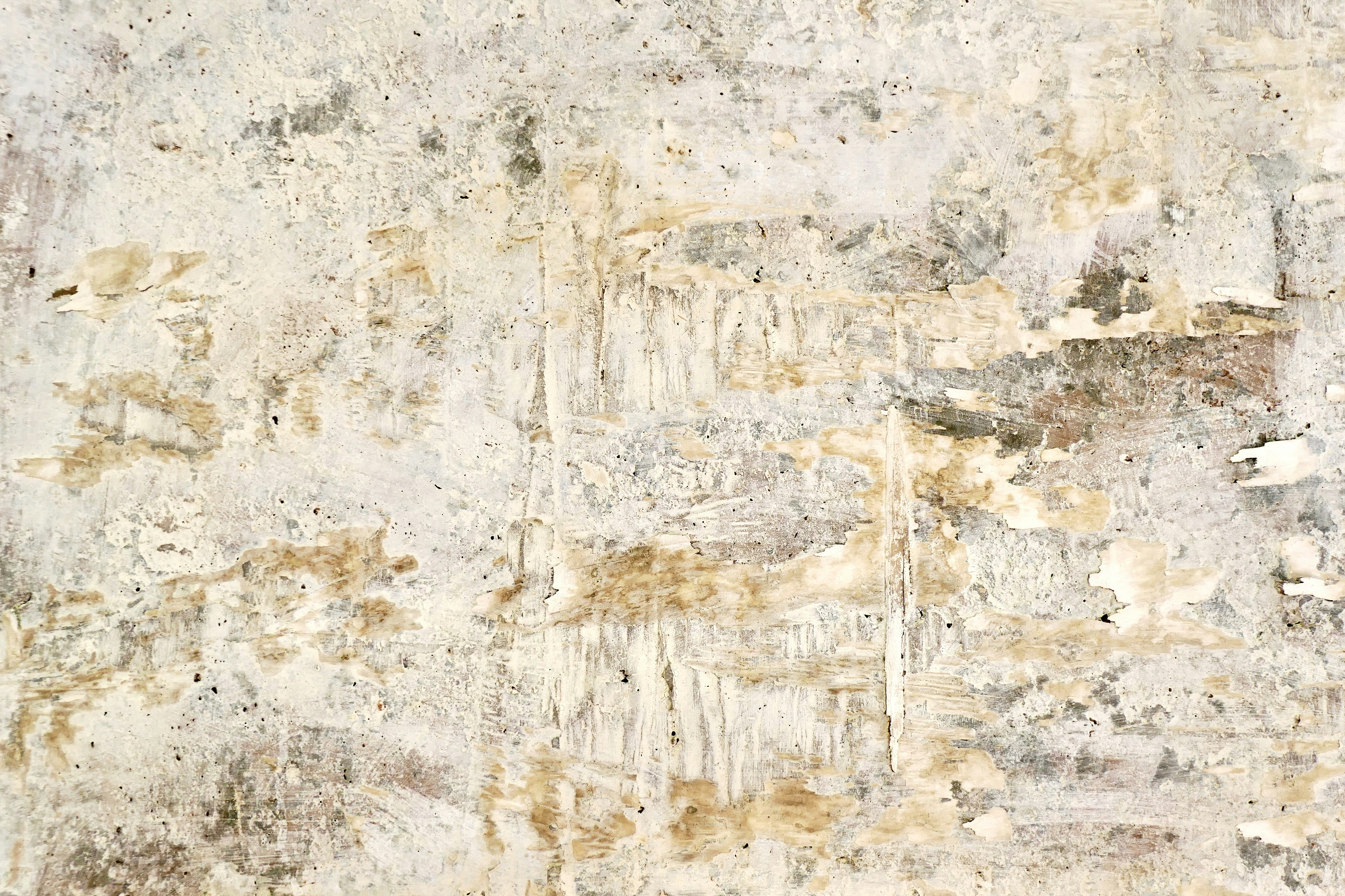 The 171-Letter Word That's Taking Hacker News by Storm: Unpacking Lopado­temacho­selacho­galeo­kranio­leipsano­drim­hypo­trimmato­silphio­karab