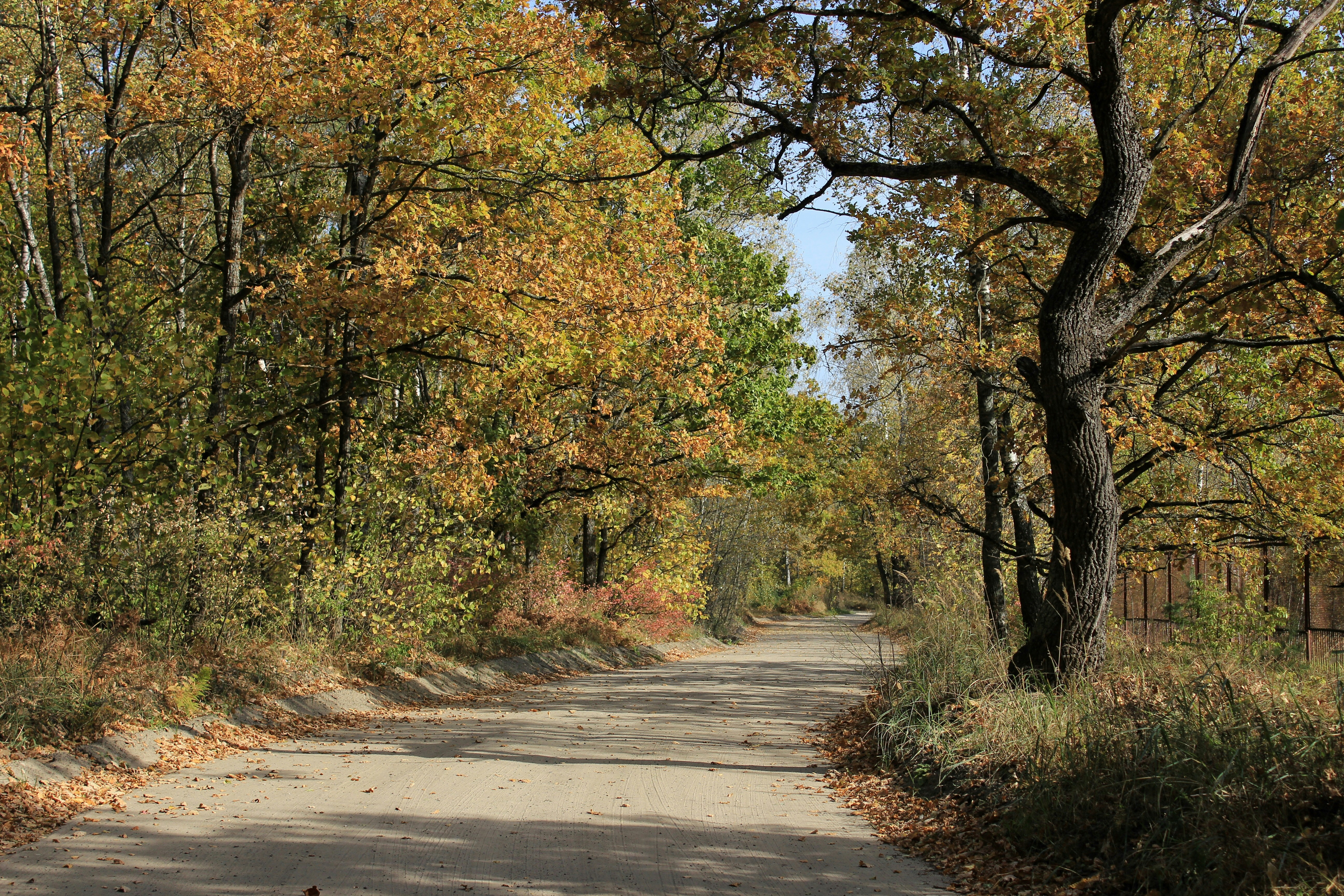 Photo by nehezmocskoslelek