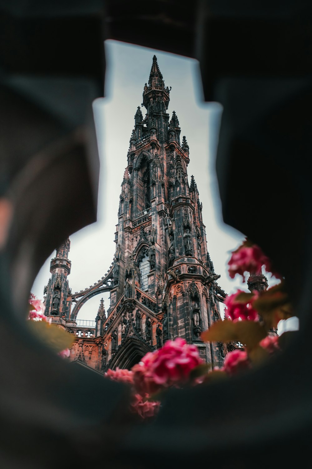 red and pink flowers near brown concrete tower