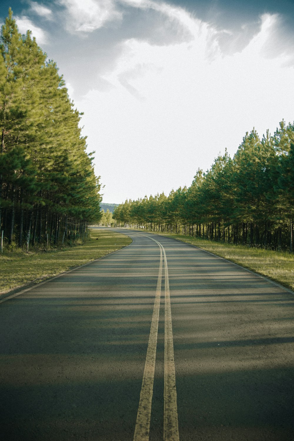 gray concrete road between green trees under white sky during daytime