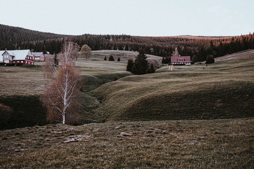 Maison Blanche sur un champ d’herbe verte