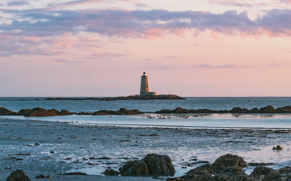 white and brown lighthouse on seashore during daytime