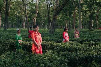 people in red and green dress walking on green grass field during daytime