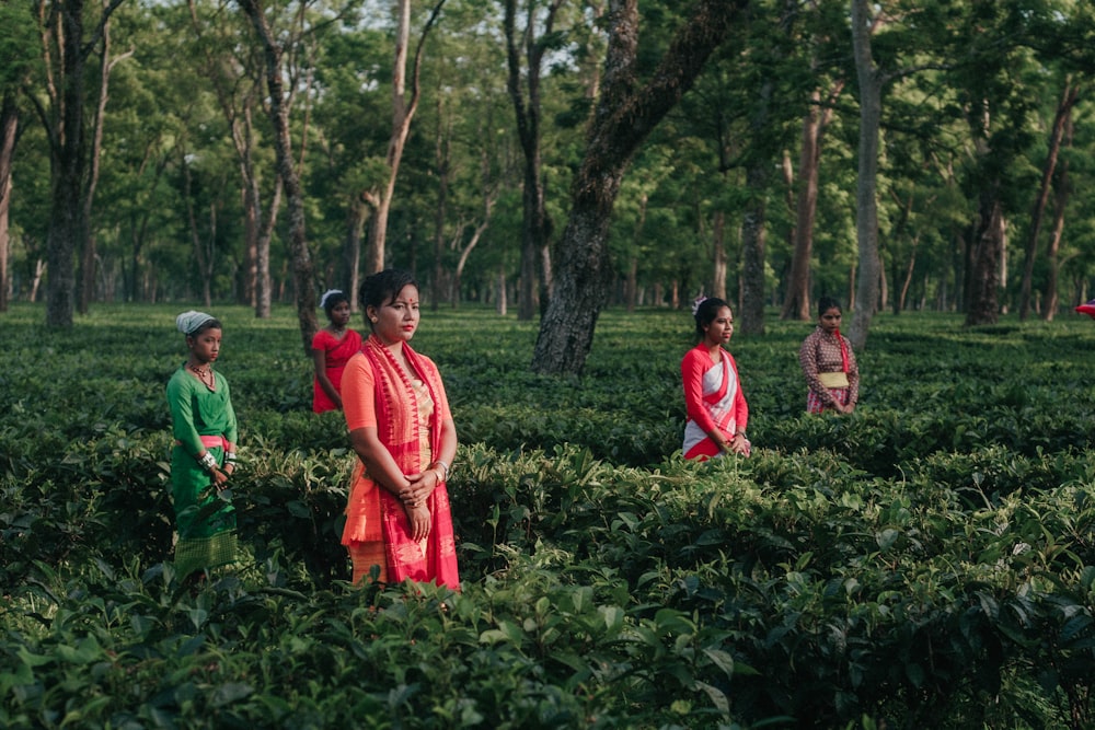 people in red and green dress walking on green grass field during daytime