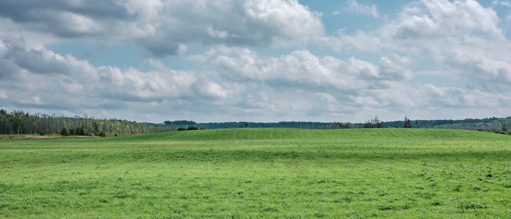 green grass field under white clouds during daytime