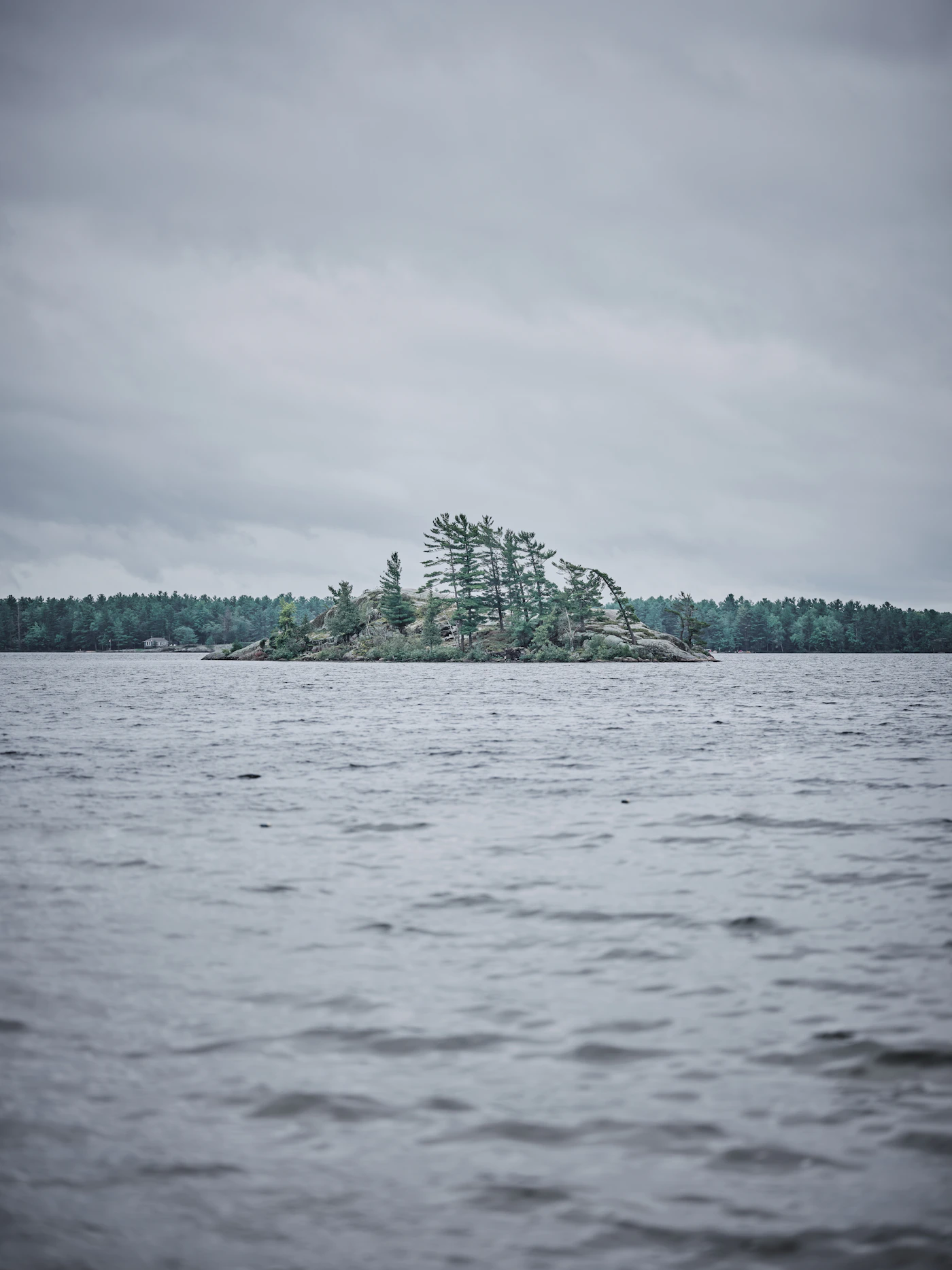 Green trees lining a rocky Ontario lakeshore under a dramatic overcast sky