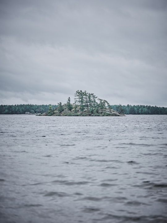 green trees near body of water under white cloudy sky during daytime in Petroglyphs Provincial Park Canada