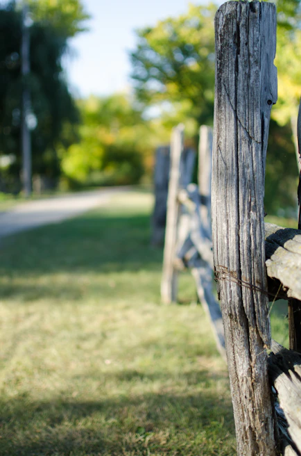 Close-up shot of weathered wooden fence posts with peeling paint, bathed in gentle afternoon light.