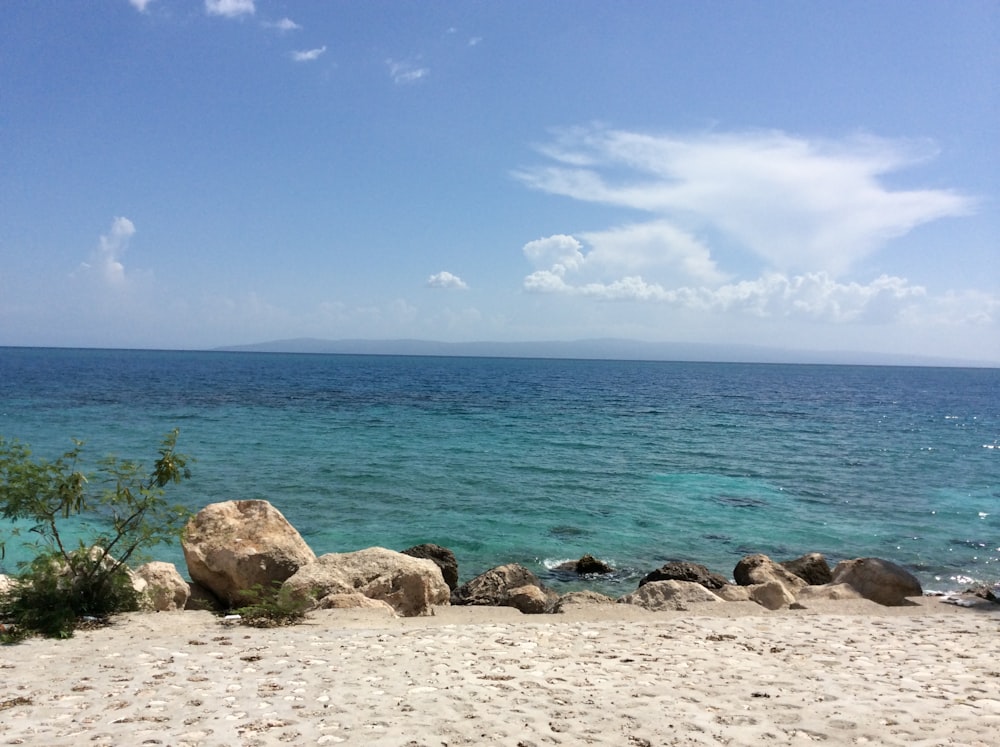 gray rocks on seashore during daytime