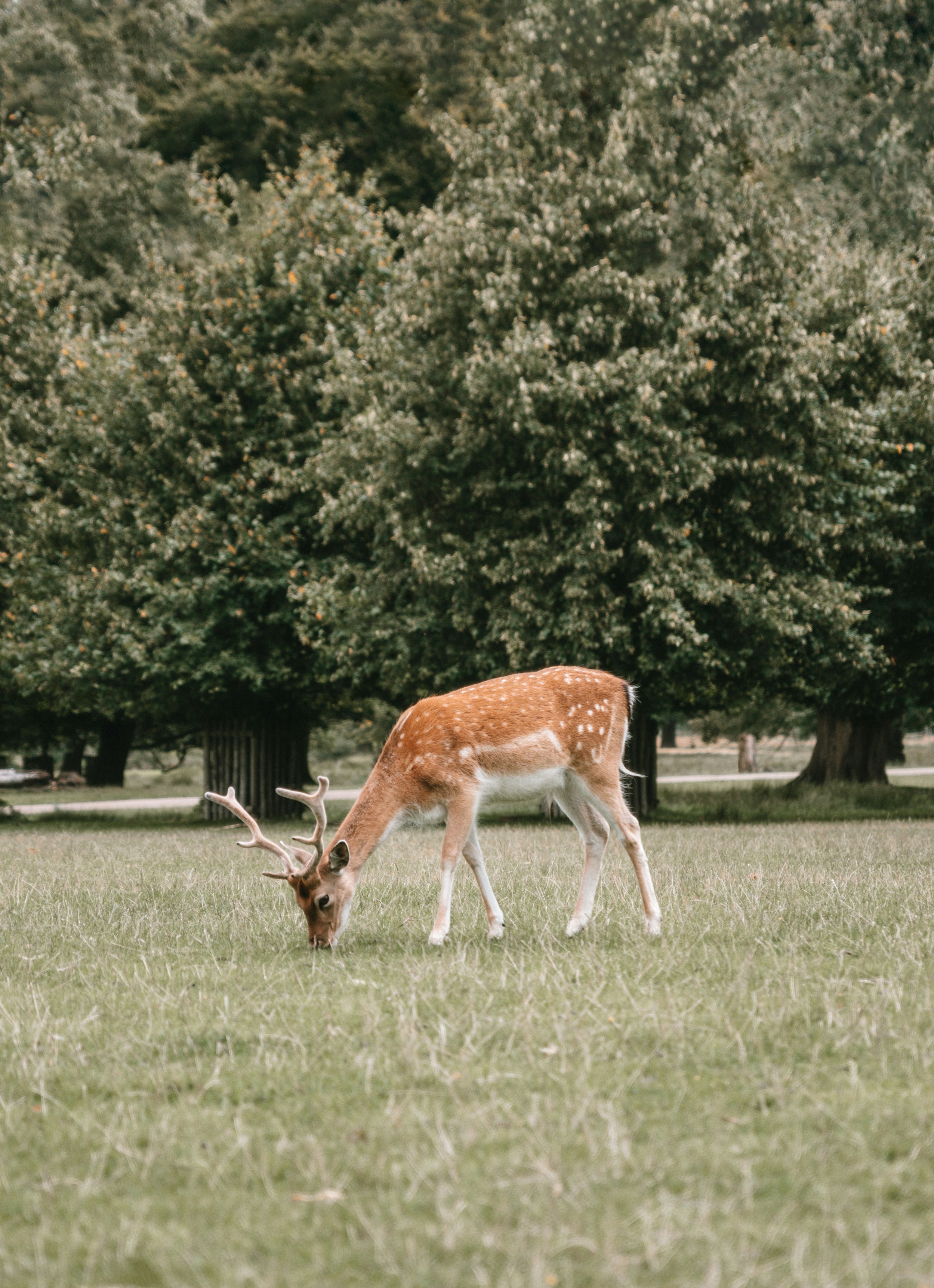 Photo by 31_photography