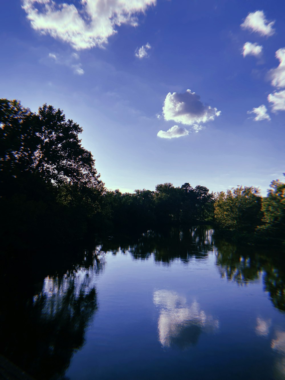 green trees beside body of water under blue sky during daytime