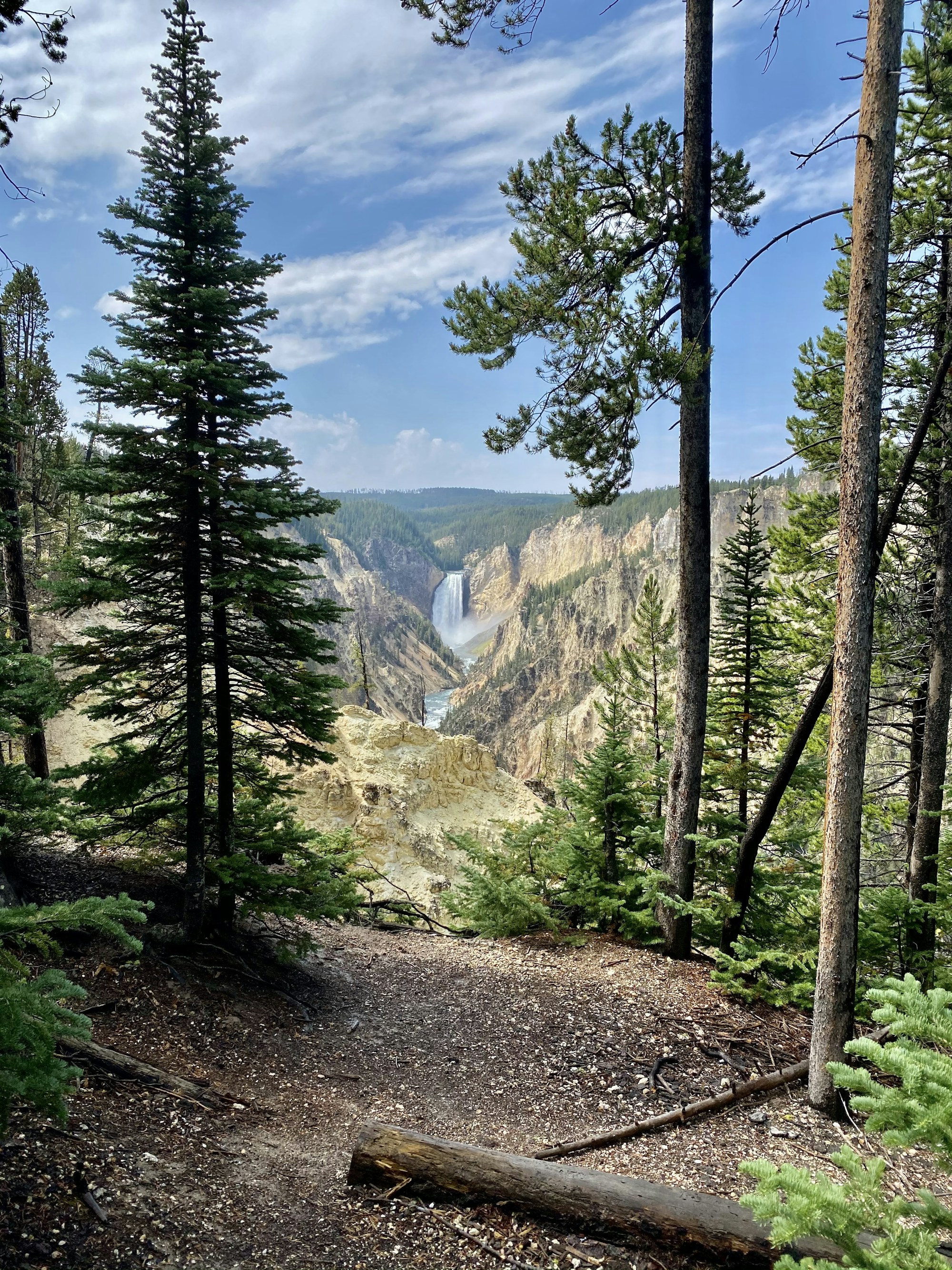 Yellowstone National Park Visitor's Guide