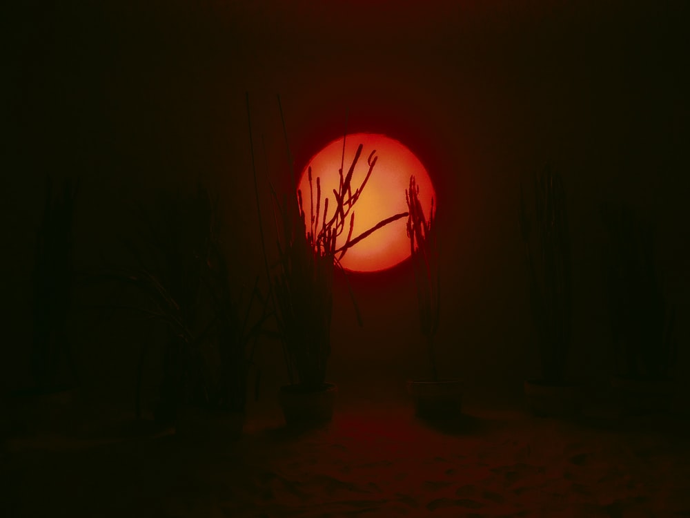 red paper lantern on dark room