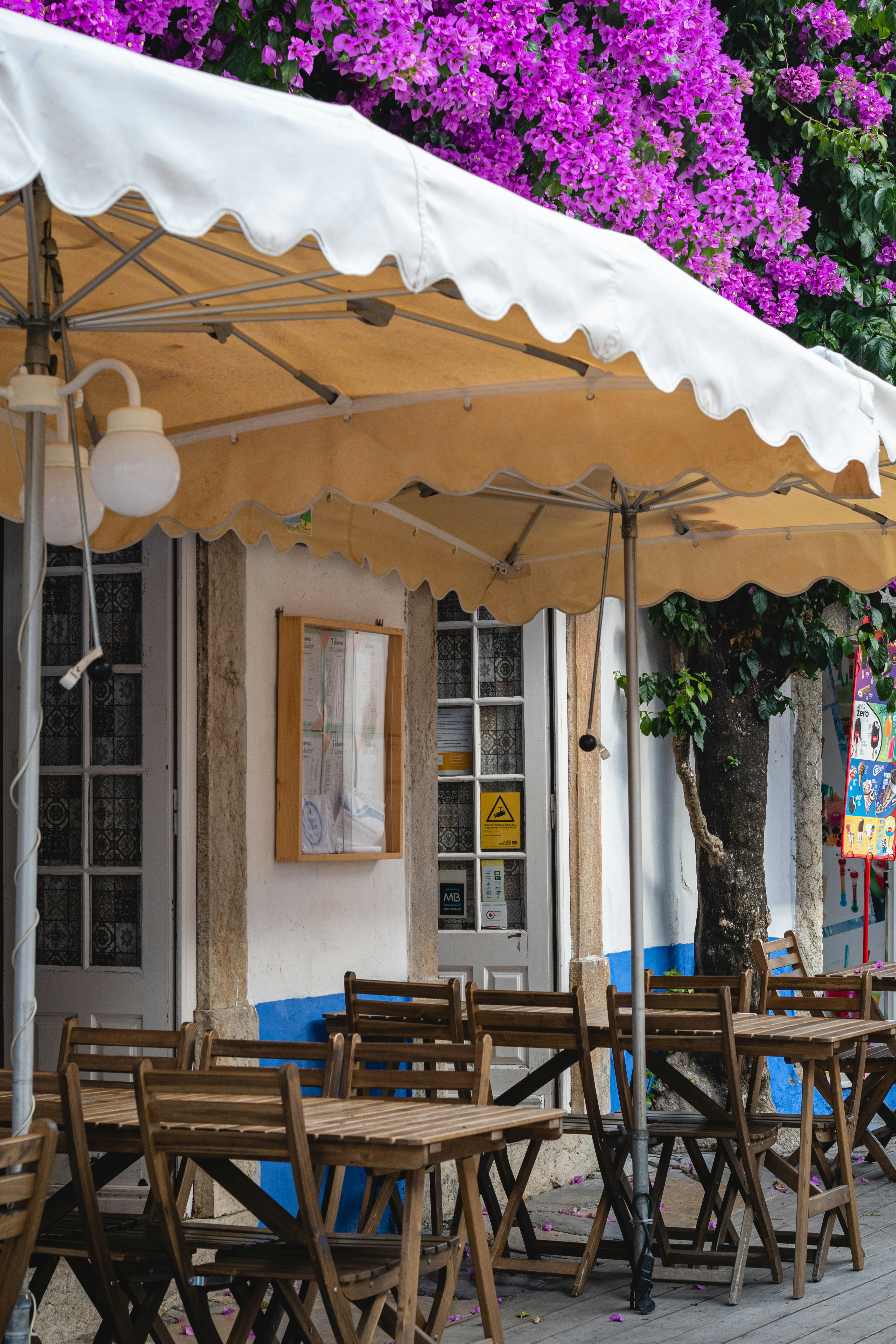 Photo by santiagoyumeng