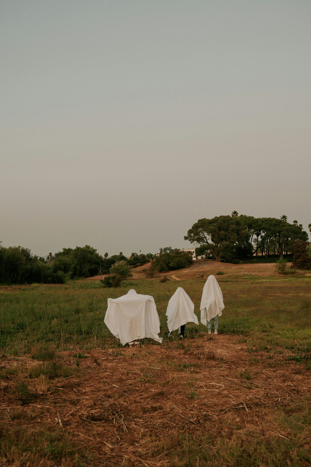 white textile on green grass field