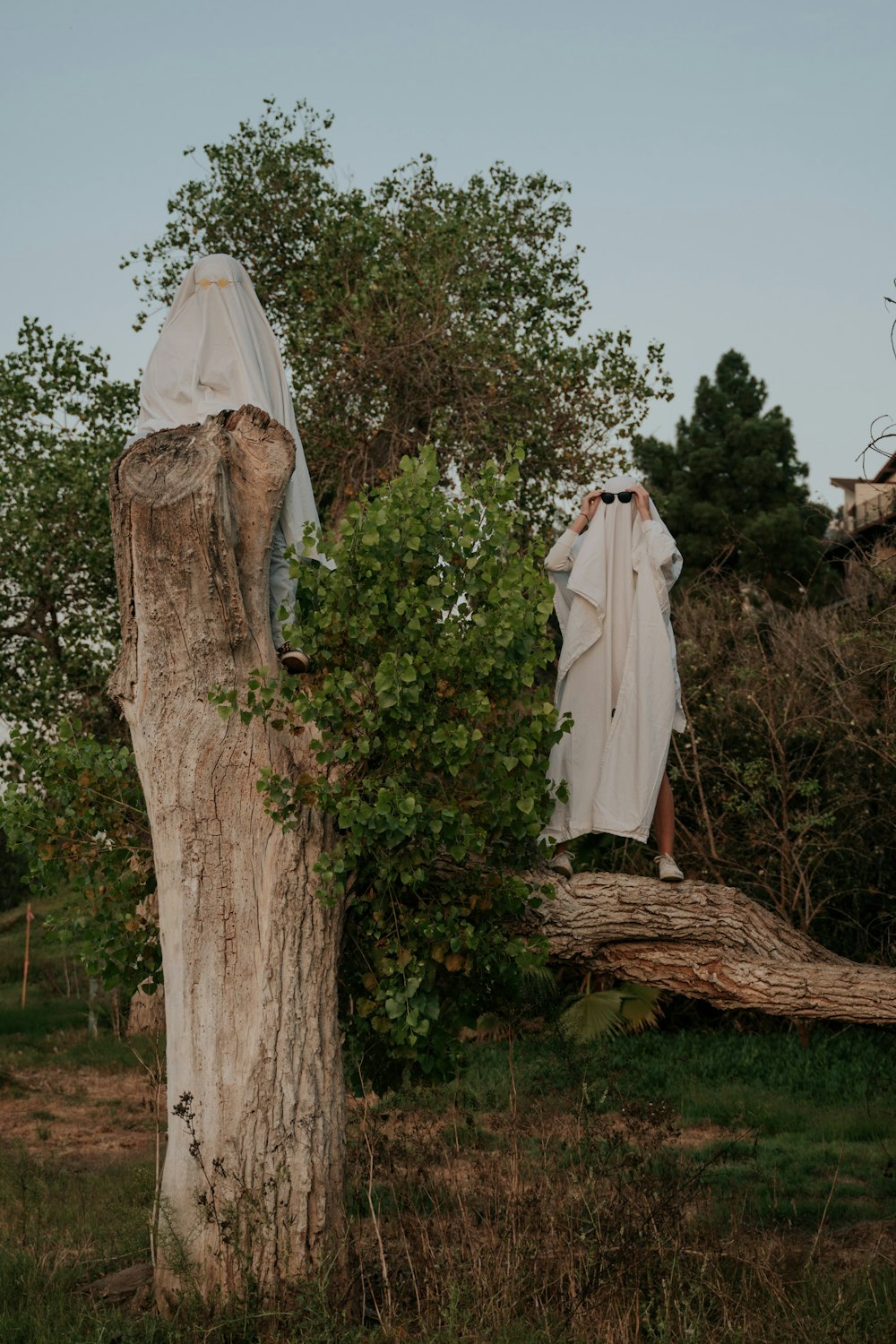 white textile hanging on brown tree trunk