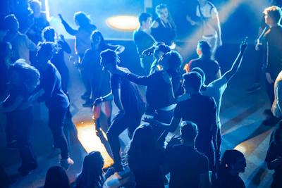 people in a concert during night time