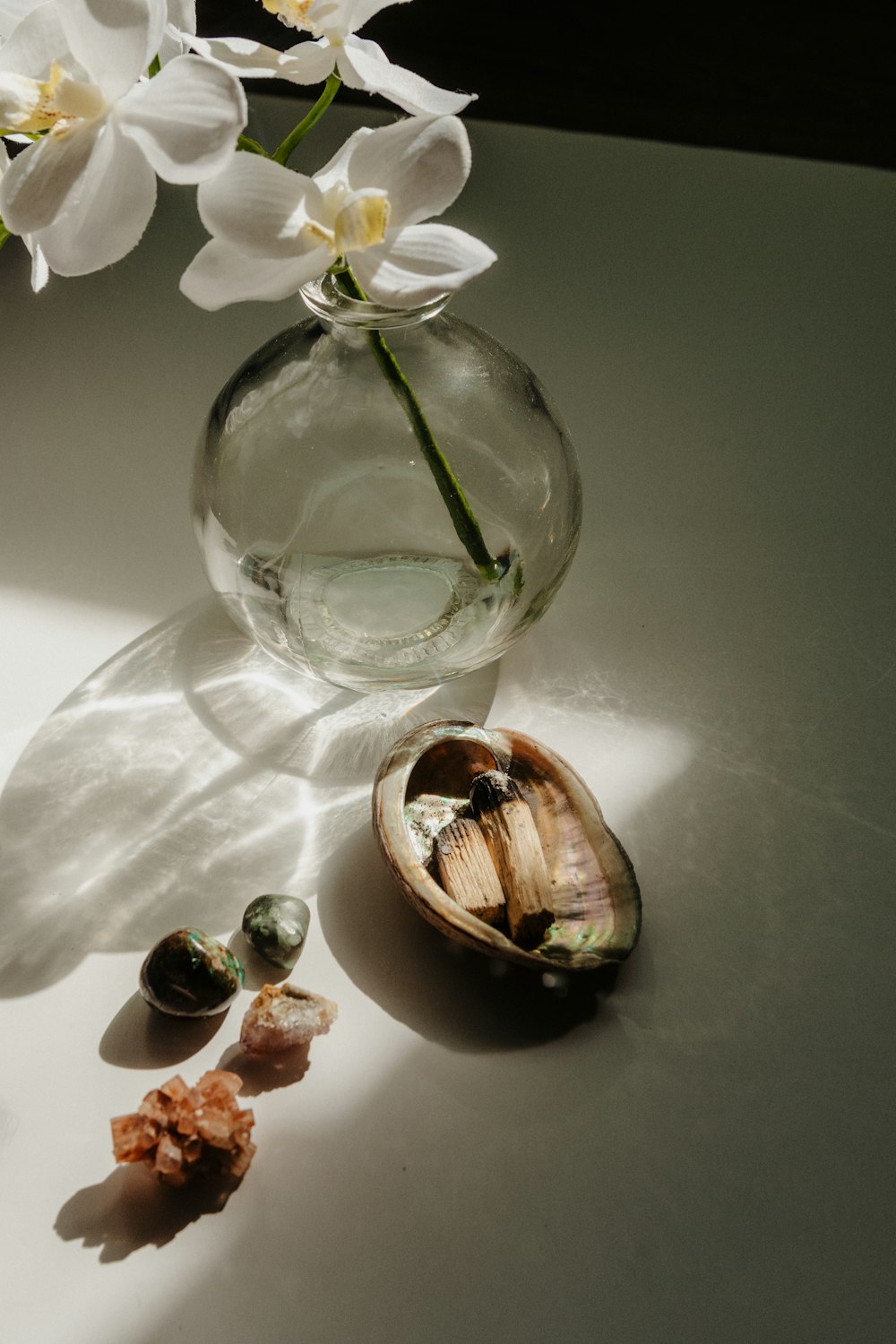 white moth orchids in clear glass vase