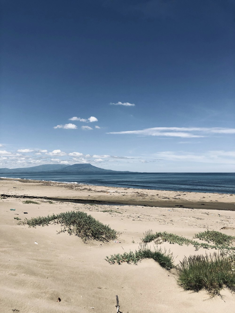 green grass on brown sand near sea under blue sky during daytime