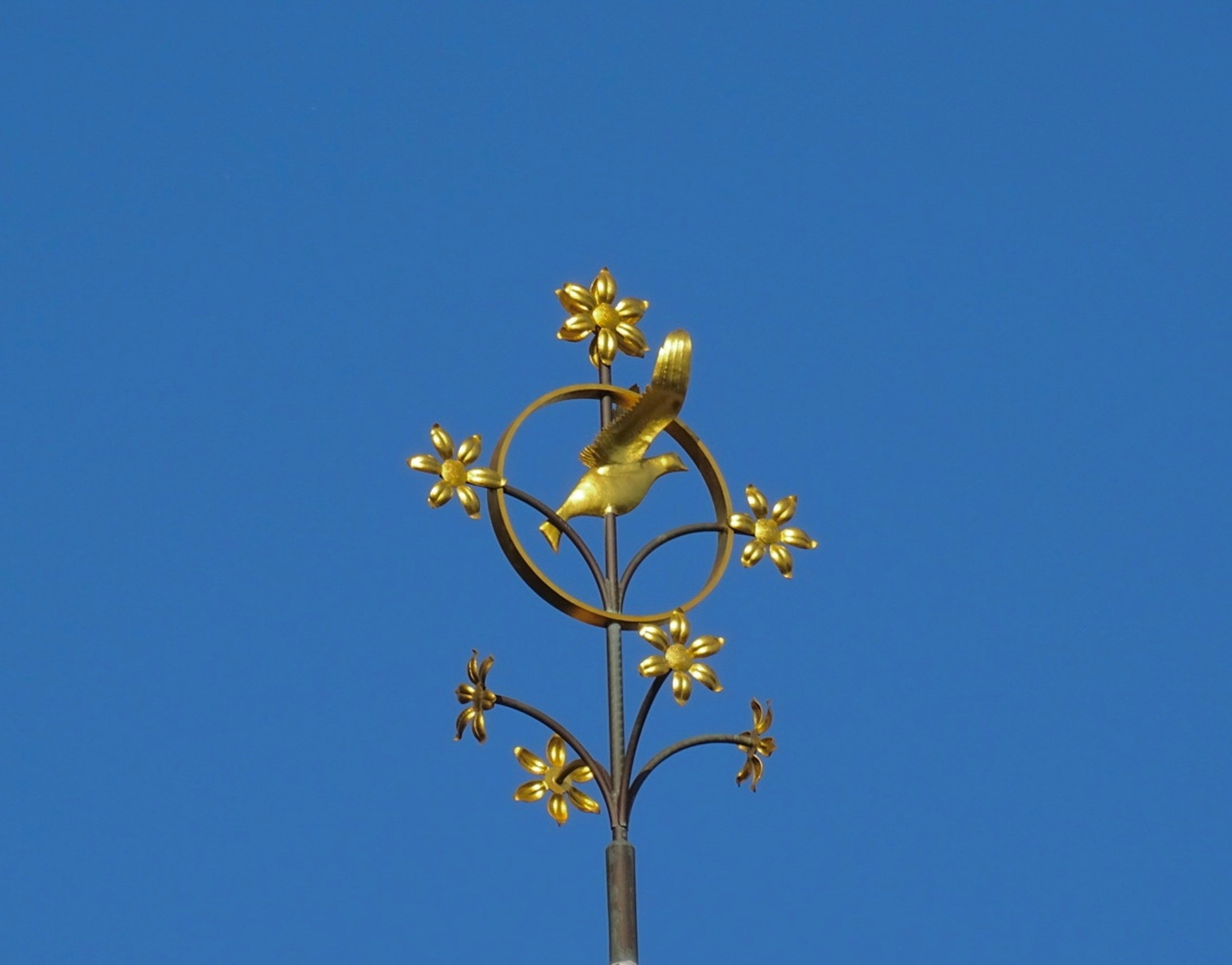 yellow flower under blue sky during daytime
