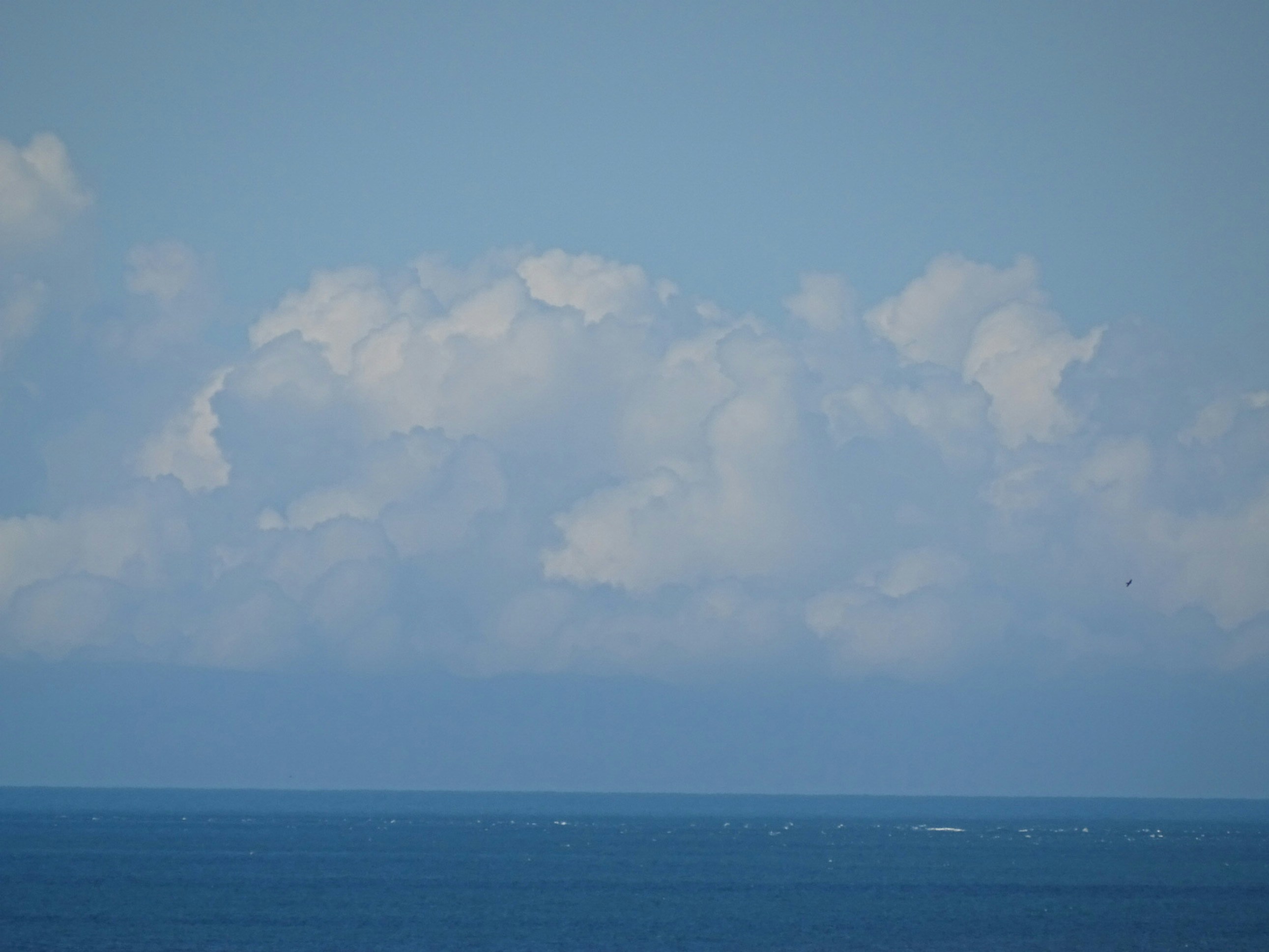 Photo by james_hoyland