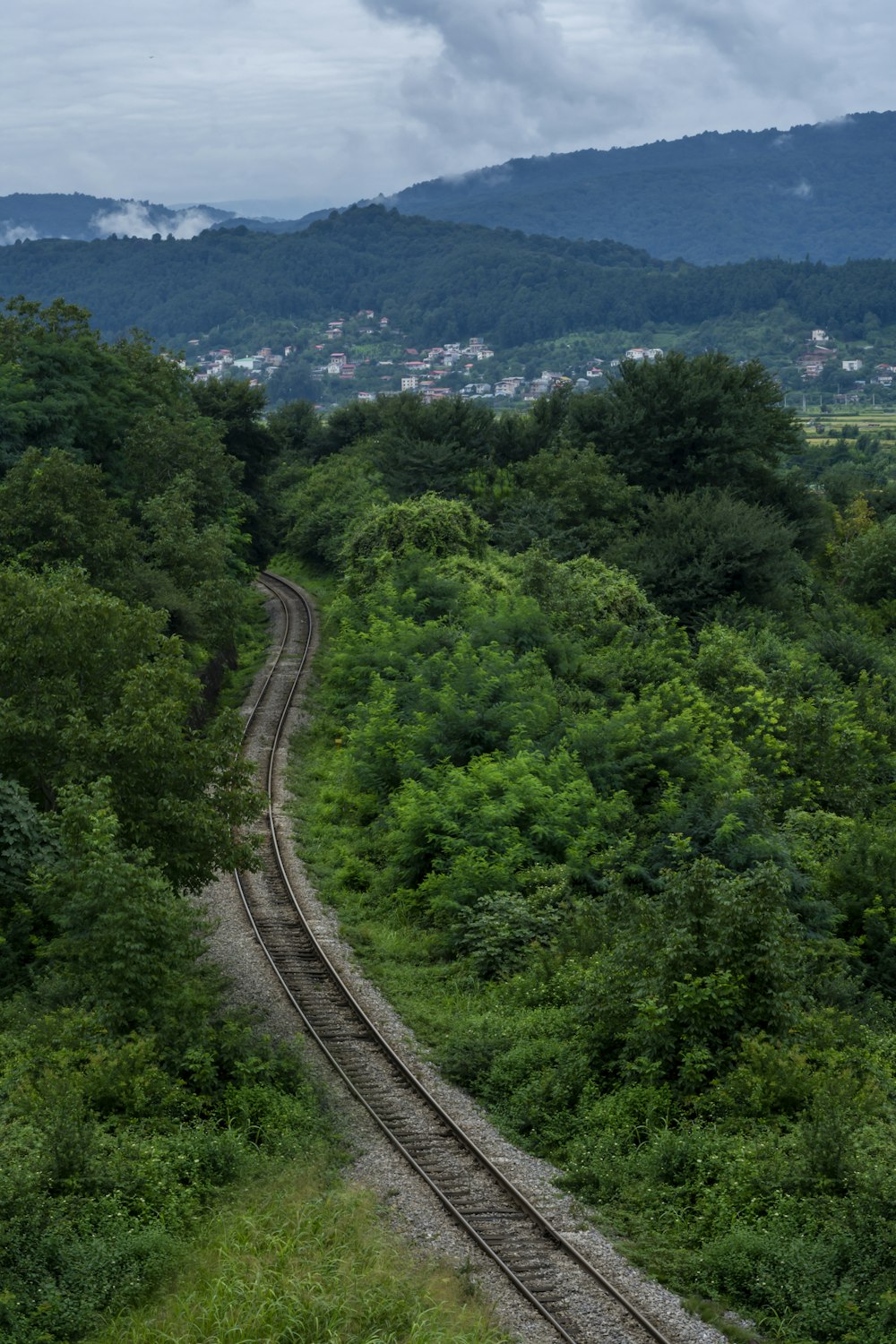 green trees on mountain during daytime