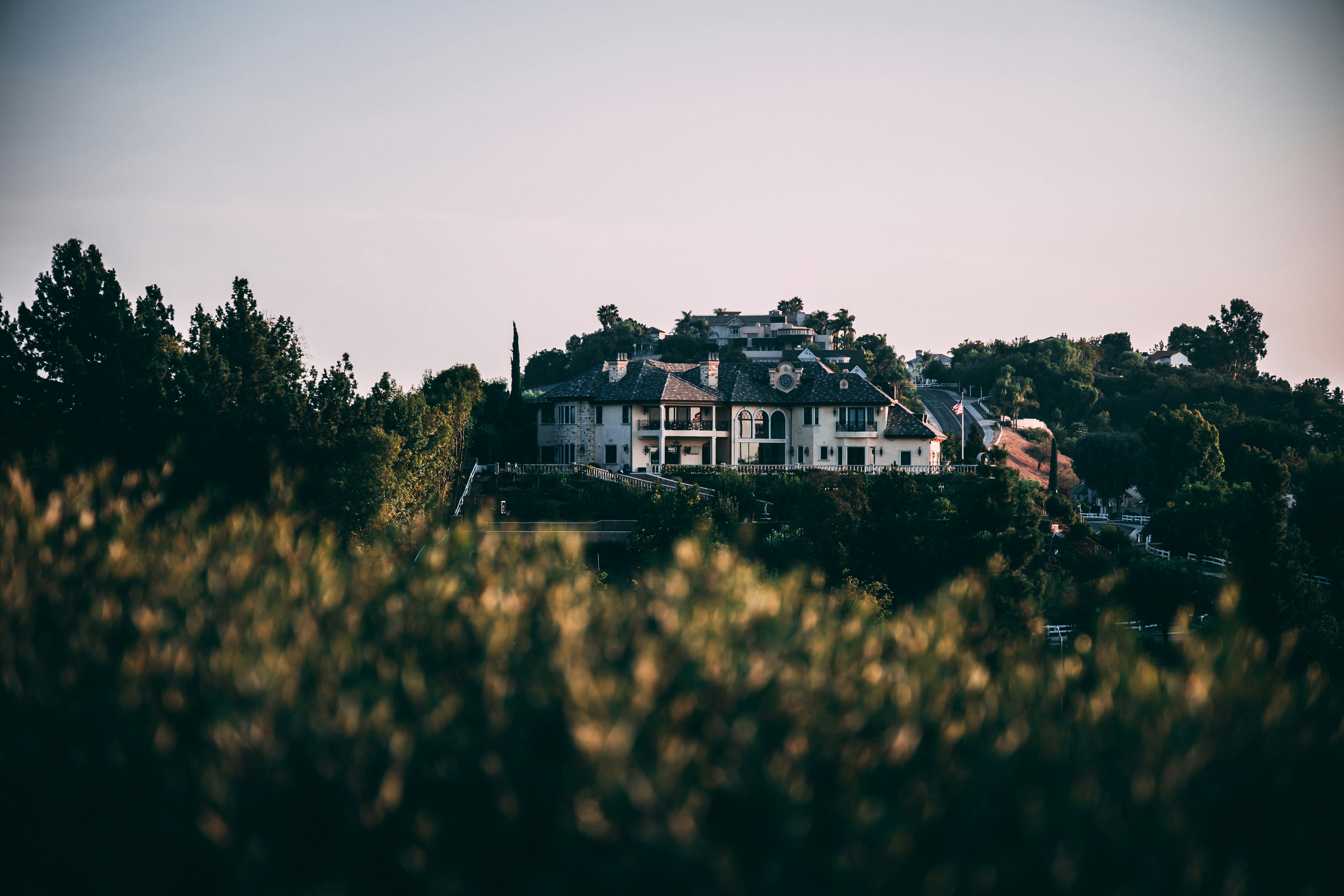 Photo by danieljerez