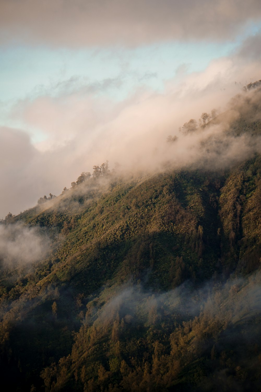 白い雲の下の緑と茶色の山