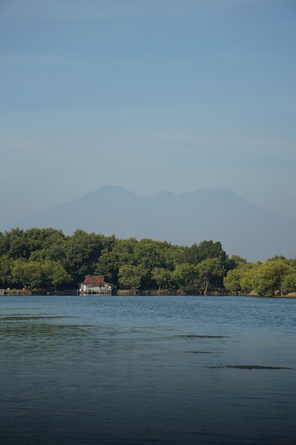 body of water near green trees and mountain during daytime