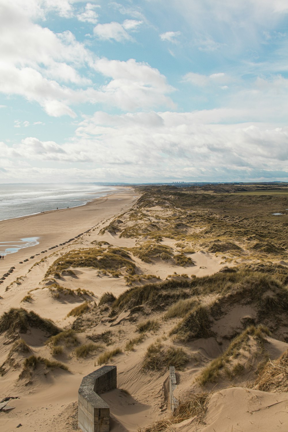 brown sand near body of water during daytime