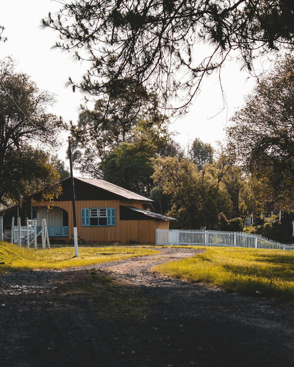 casa de madeira azul e branca perto de árvores verdes durante o dia