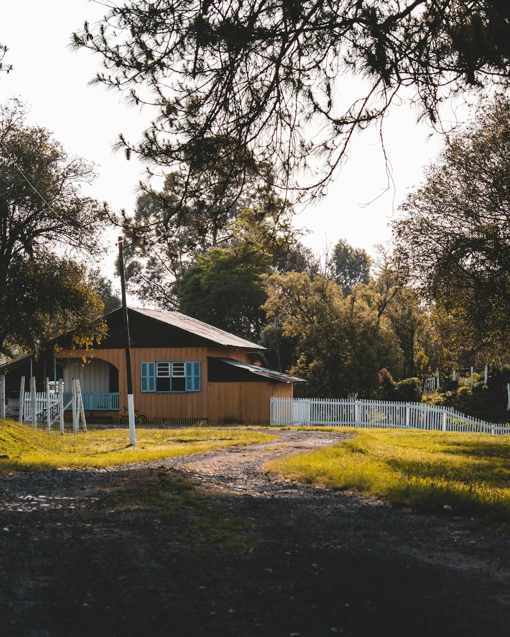 blue and white wooden house near green trees during daytime