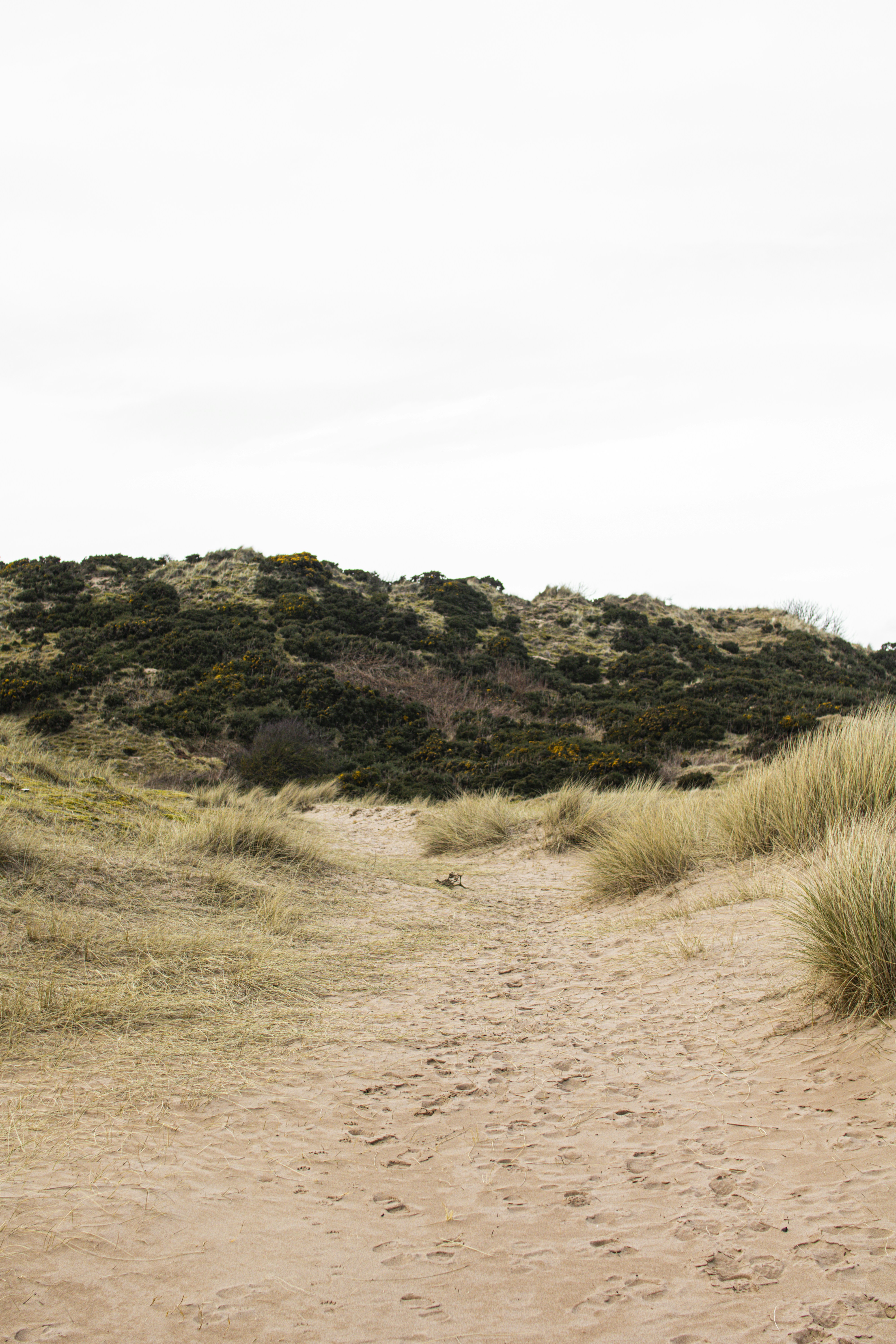 Photo by emilembunzama