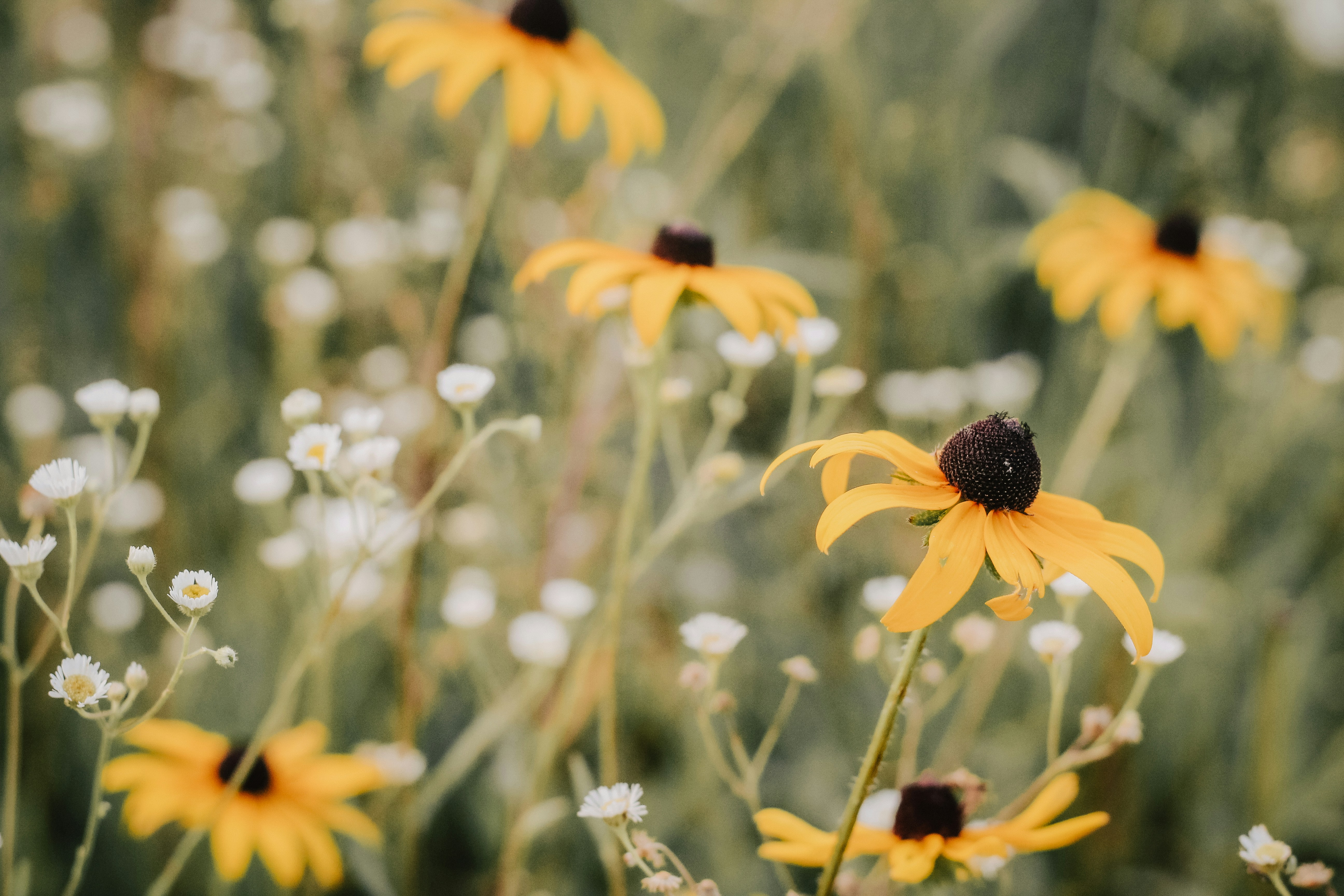 Photo by rebekahdummer