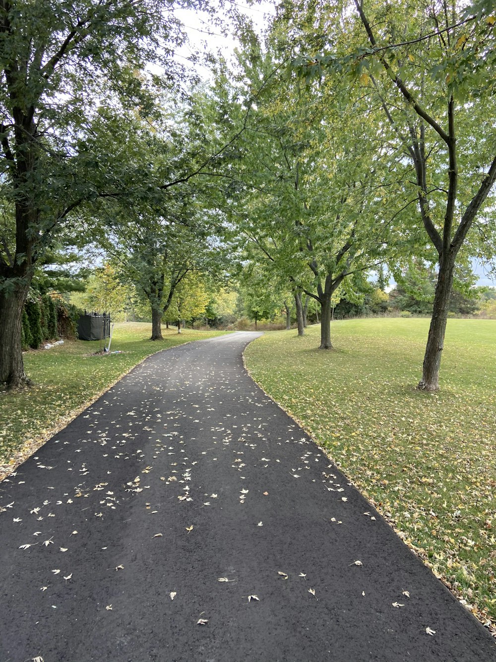 gray concrete pathway between green grass and trees during daytime