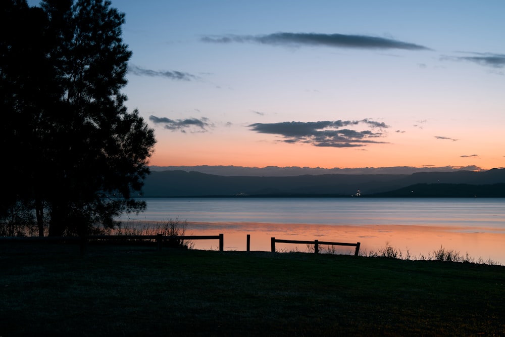 silhouette of trees near body of water during sunset