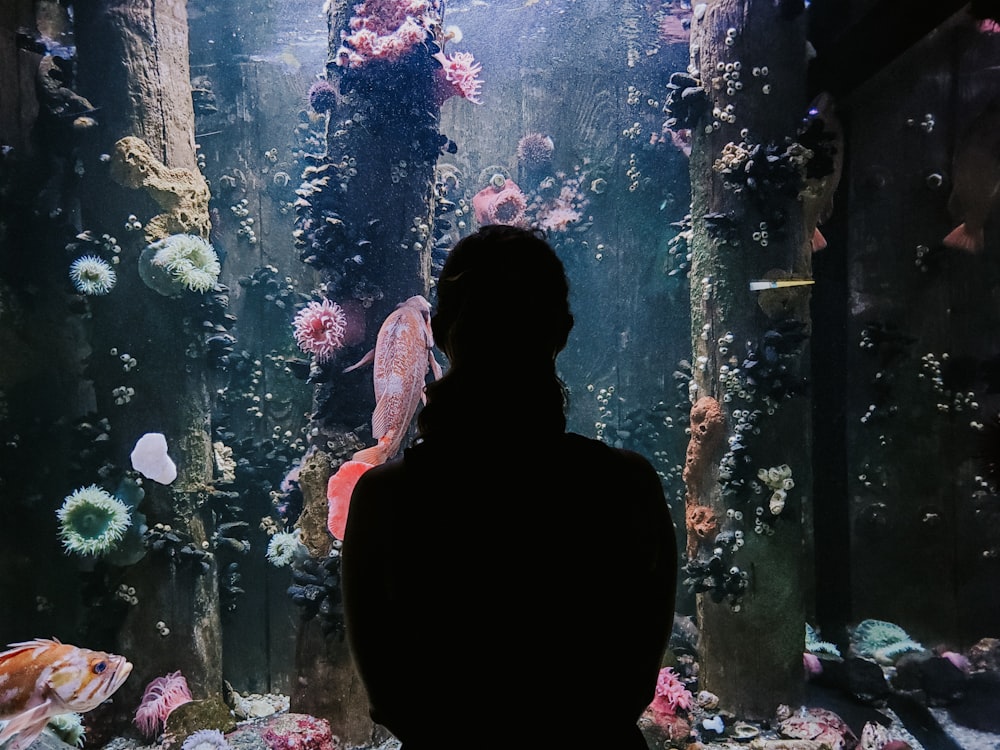 silhouette of man standing in front of glass