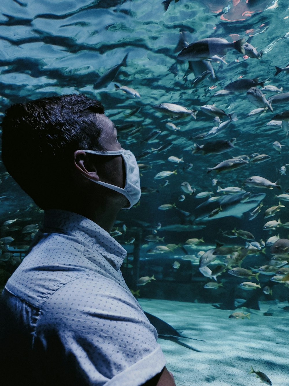 man in white and black stripe shirt wearing white goggles in front of fish tank