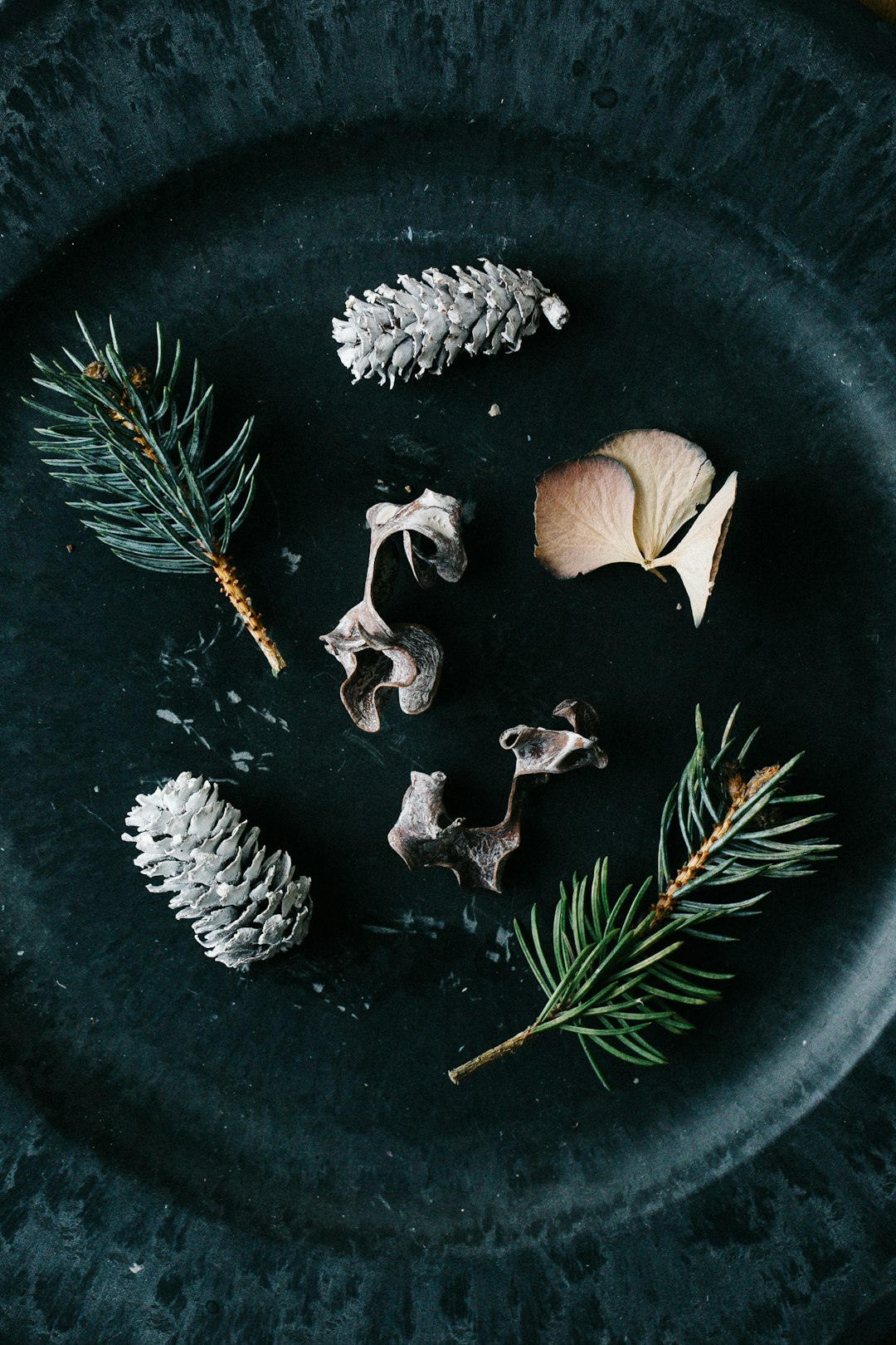 white and brown pine cones on black round plate