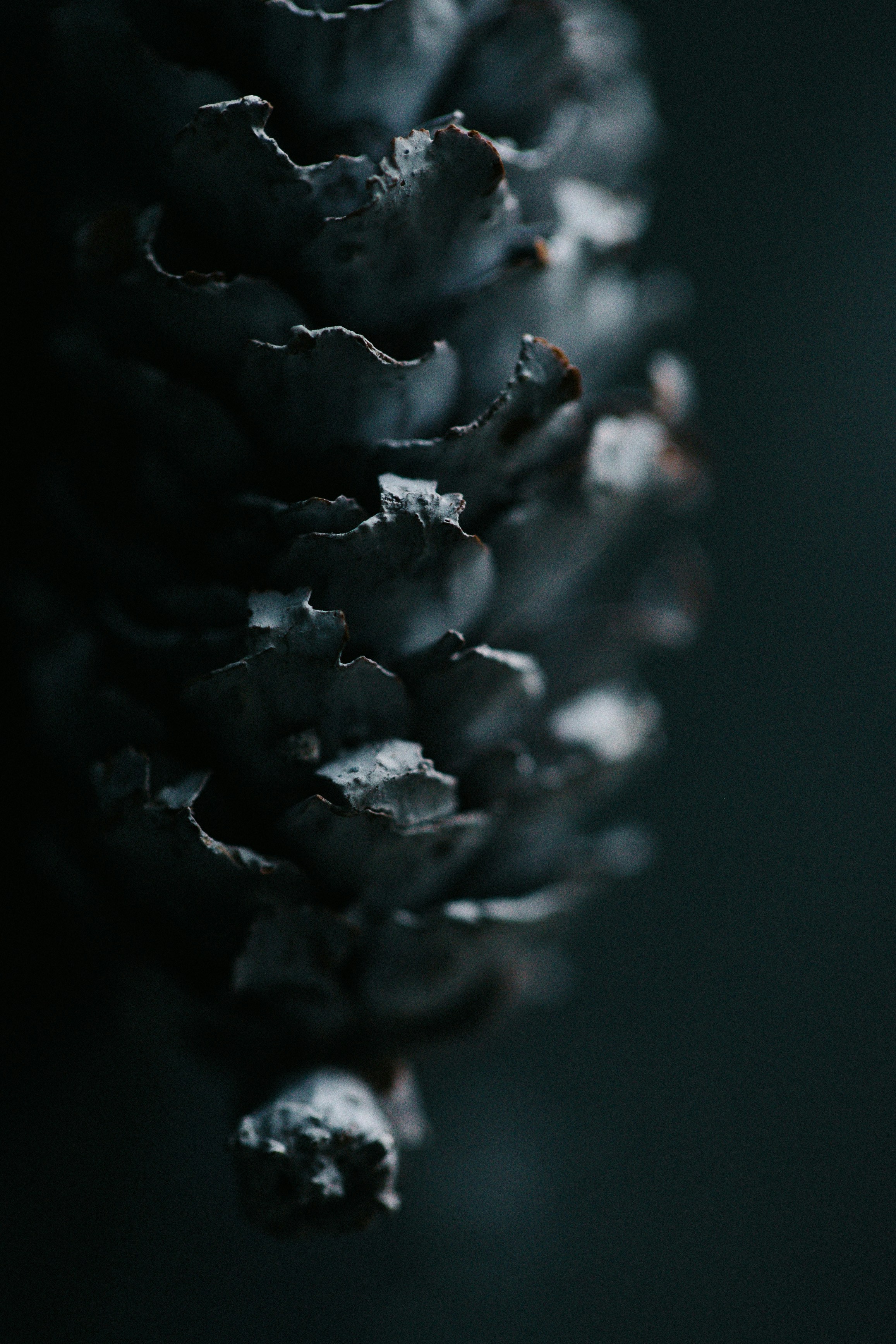 Photo by _______life_