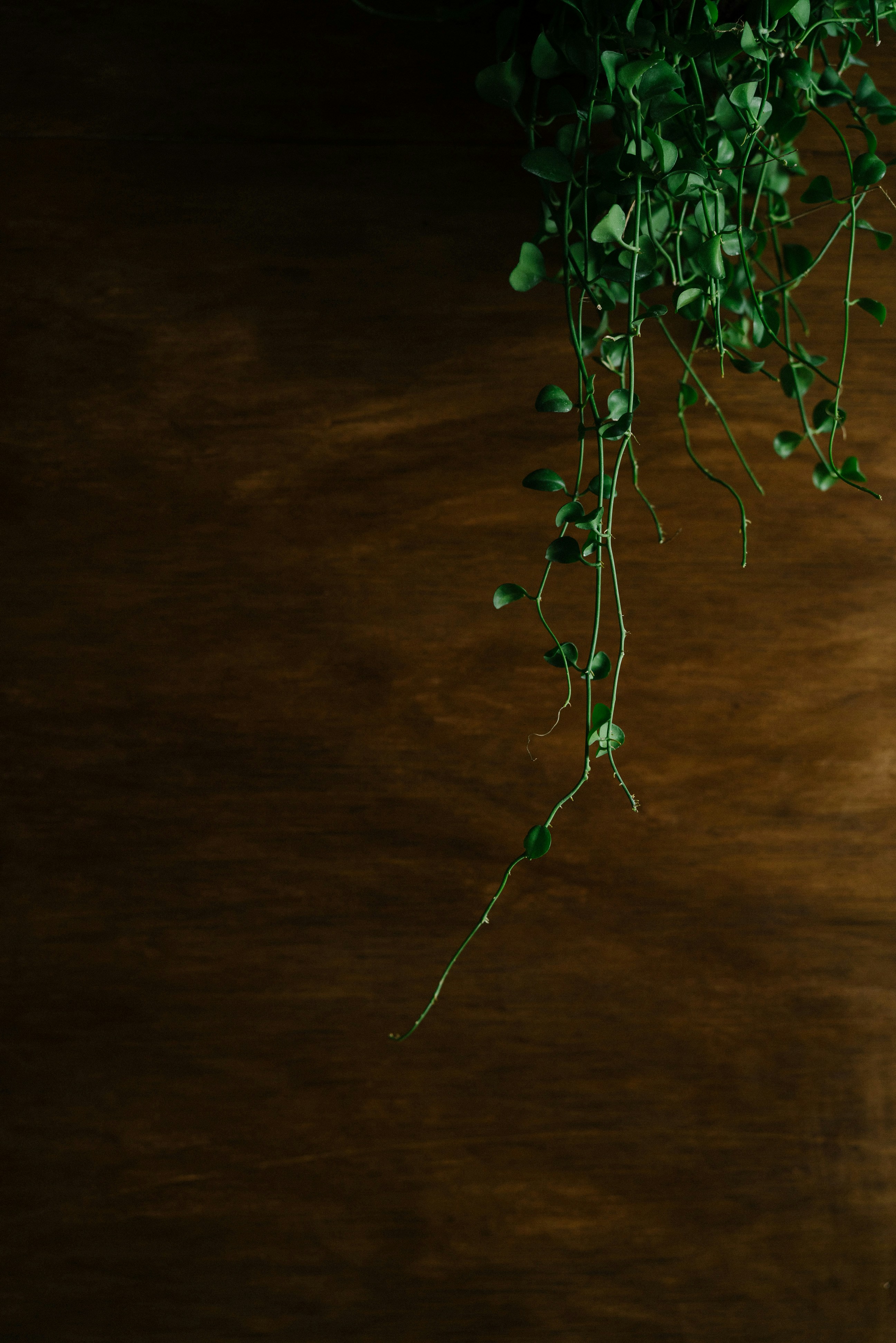 Photo by _______life_