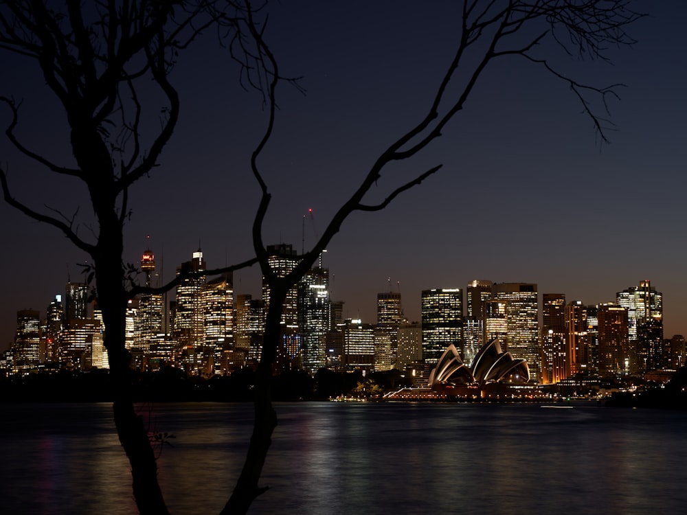 city skyline during night time