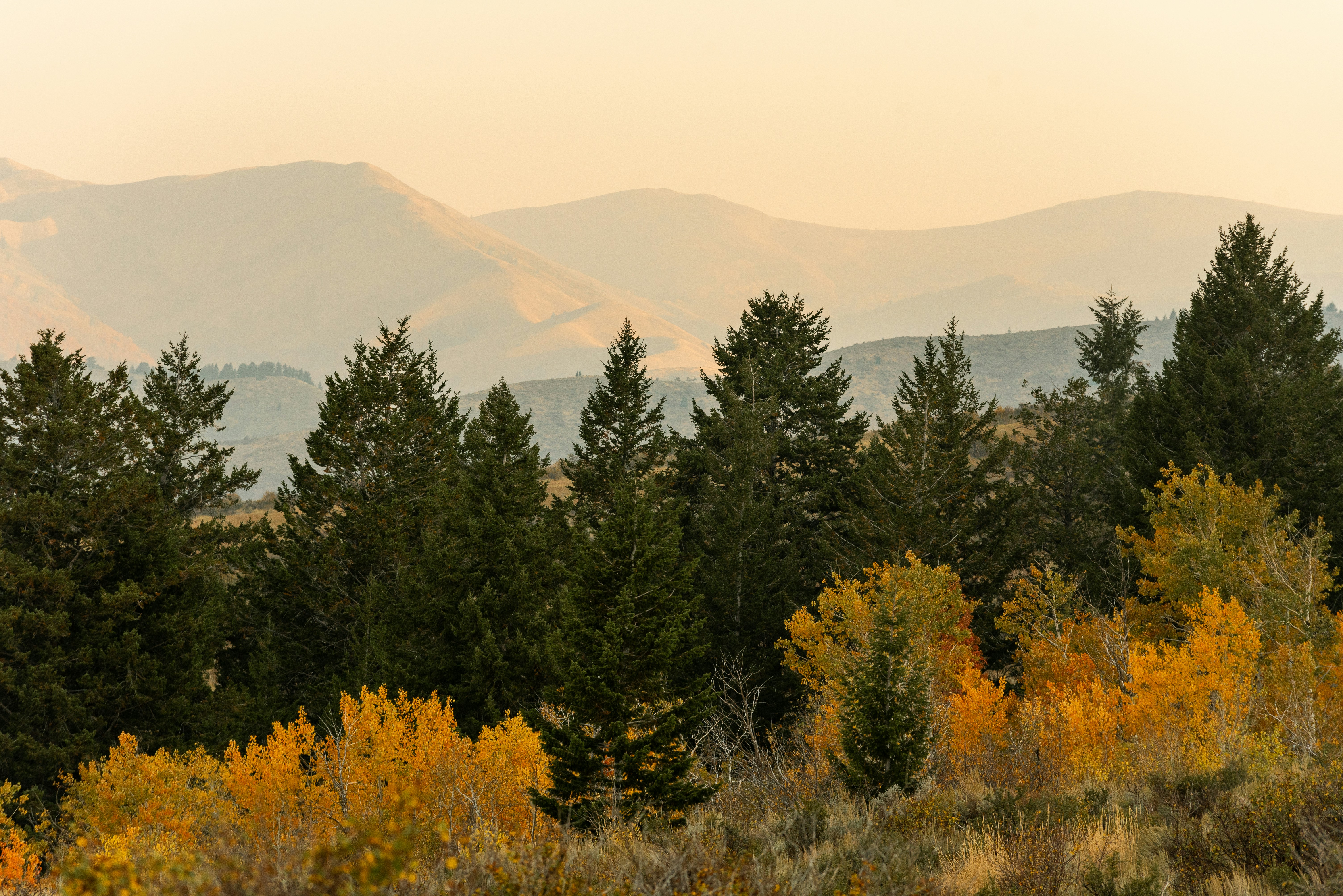 Photo by lightrisephoto