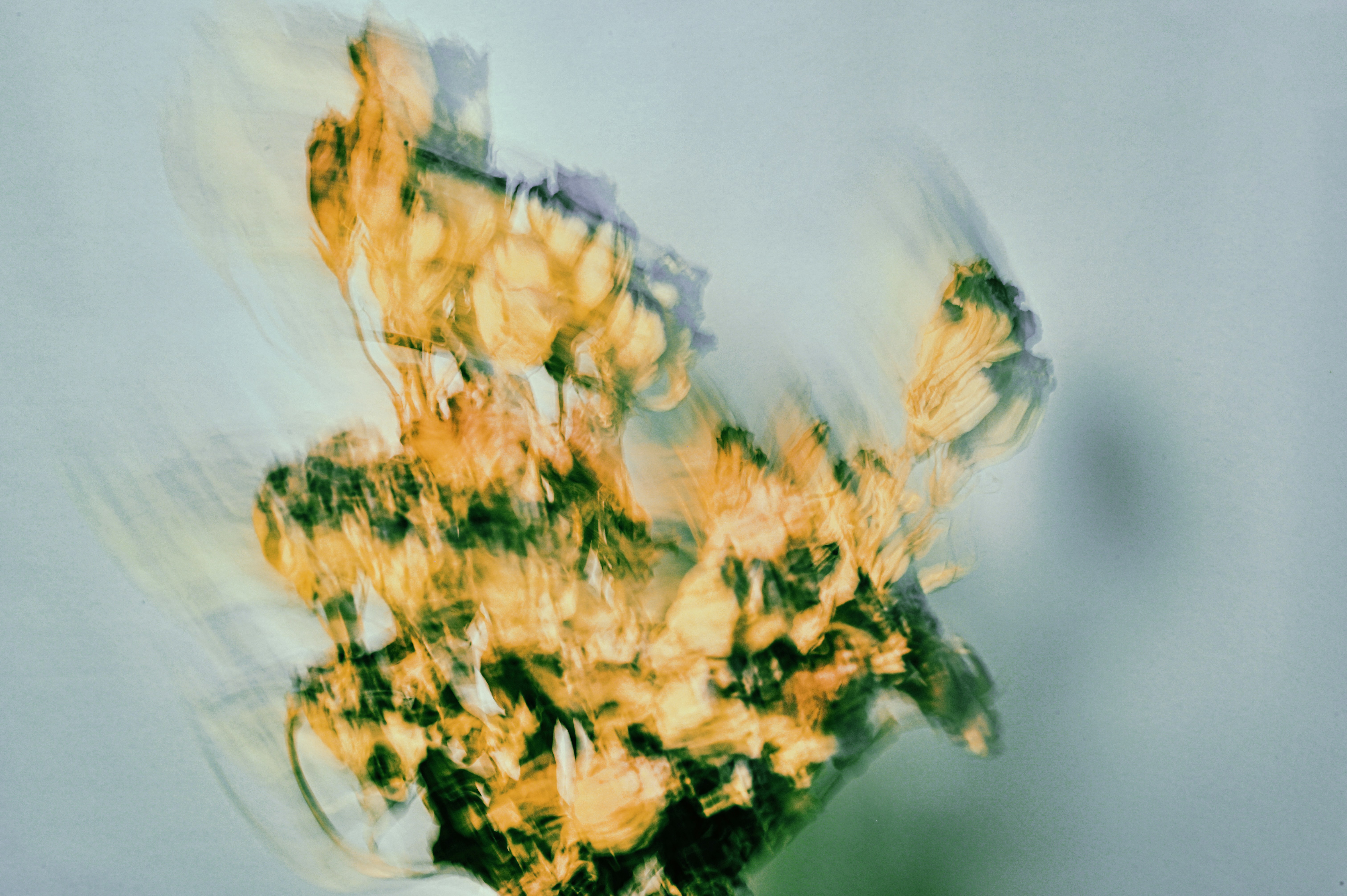 Photo by girlwithredhat