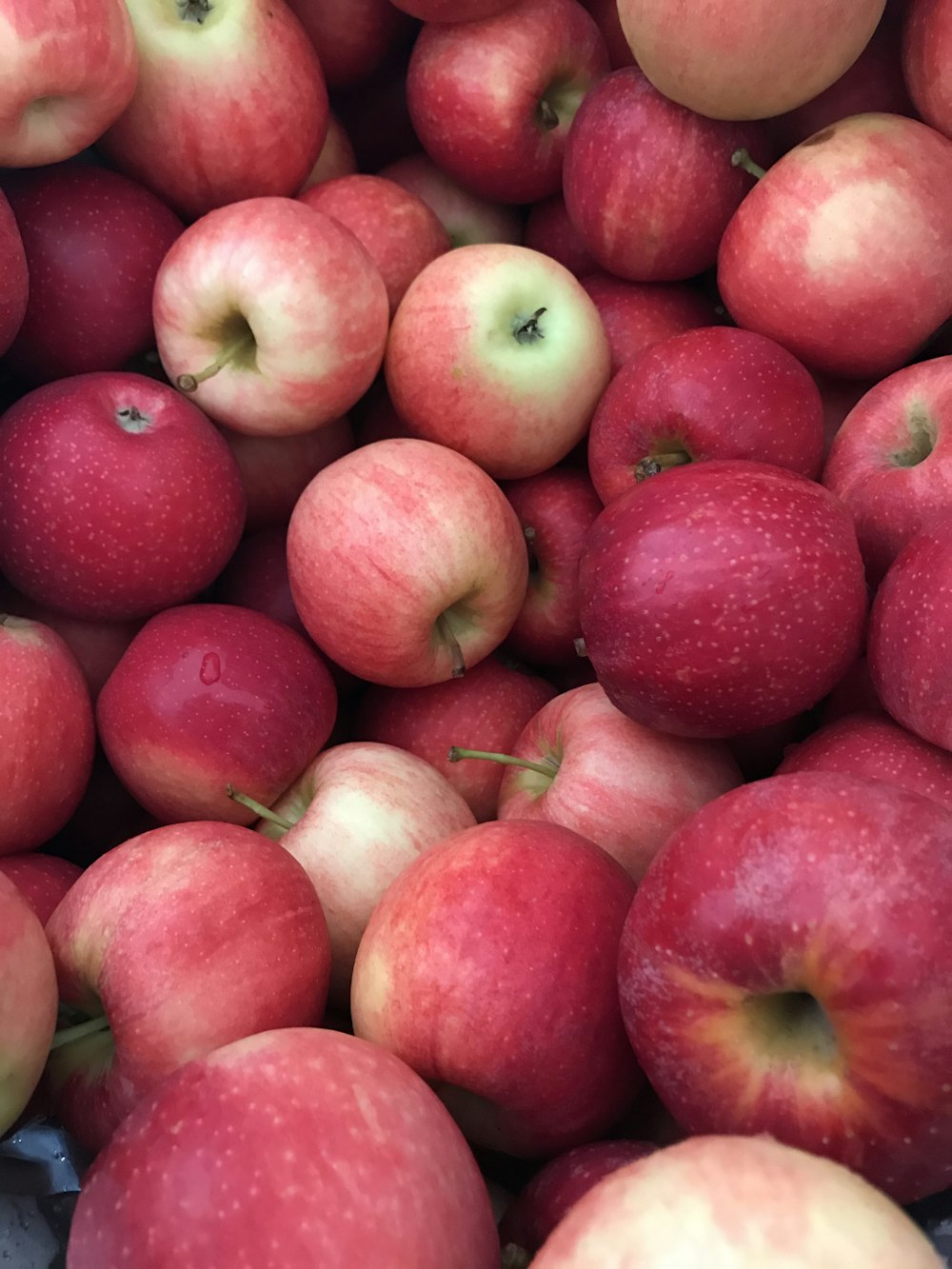 pommes rouges sur table en bois brun