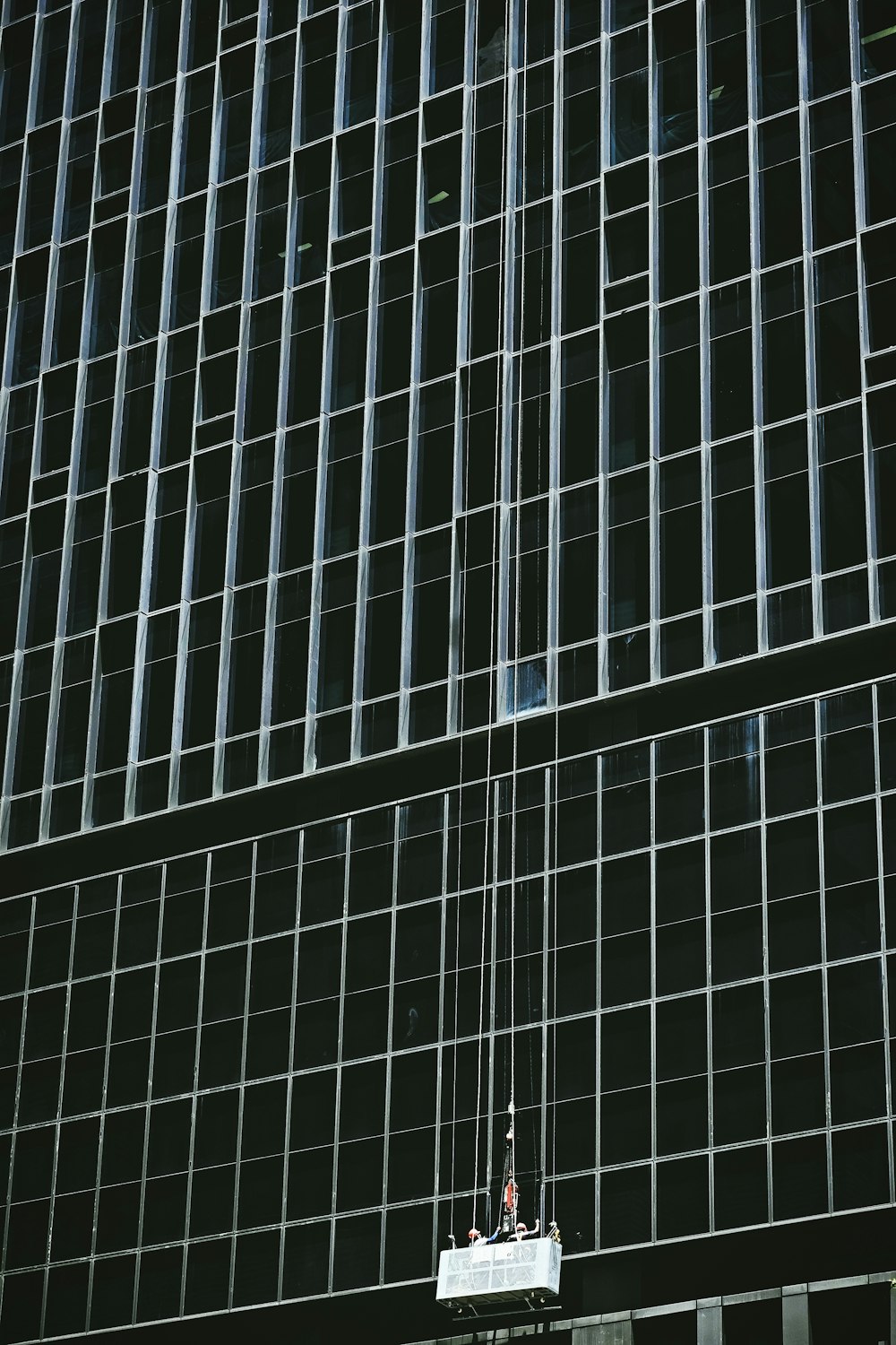 black and white glass windows