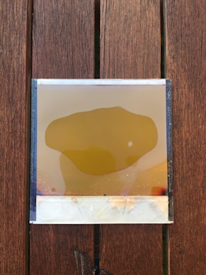 Smooth yellow slime resting on a wooden surface with natural light.